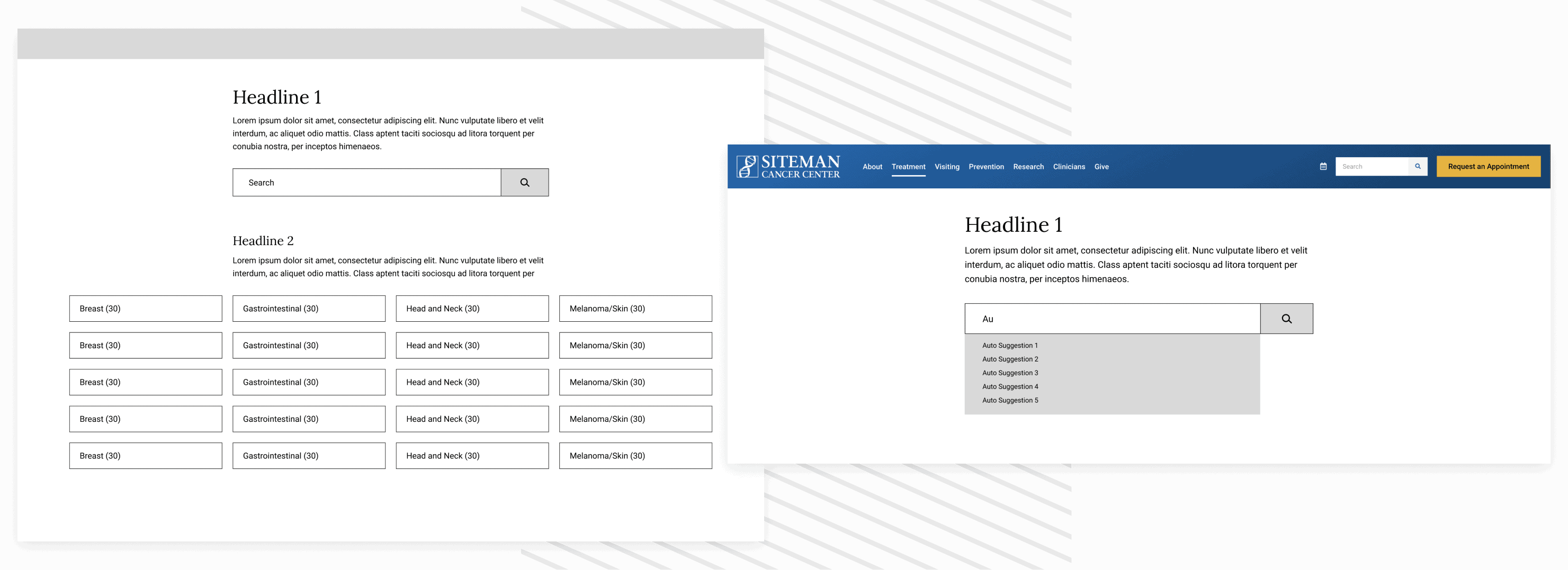 Siteman-Cancer-Center_Case-Study_UX-Design 